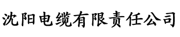 泡泡视频苹果版电缆厂logo